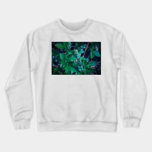 Blueberry Bush Crewneck Sweatshirt